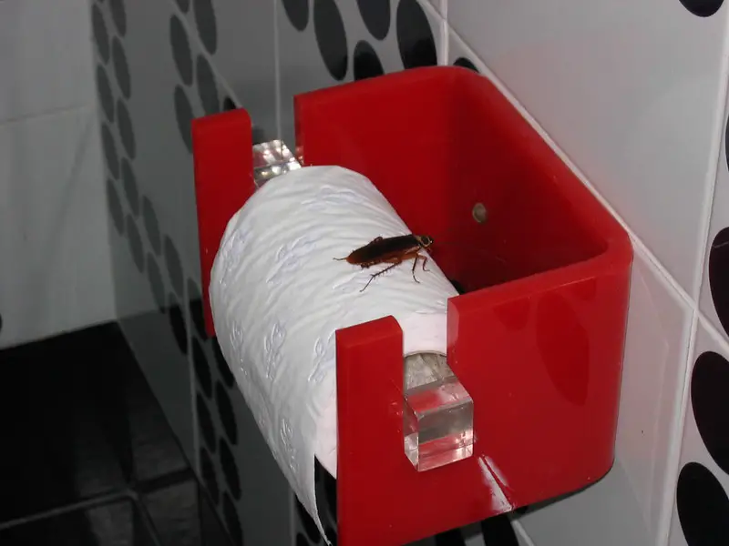 cockroaches dangerous